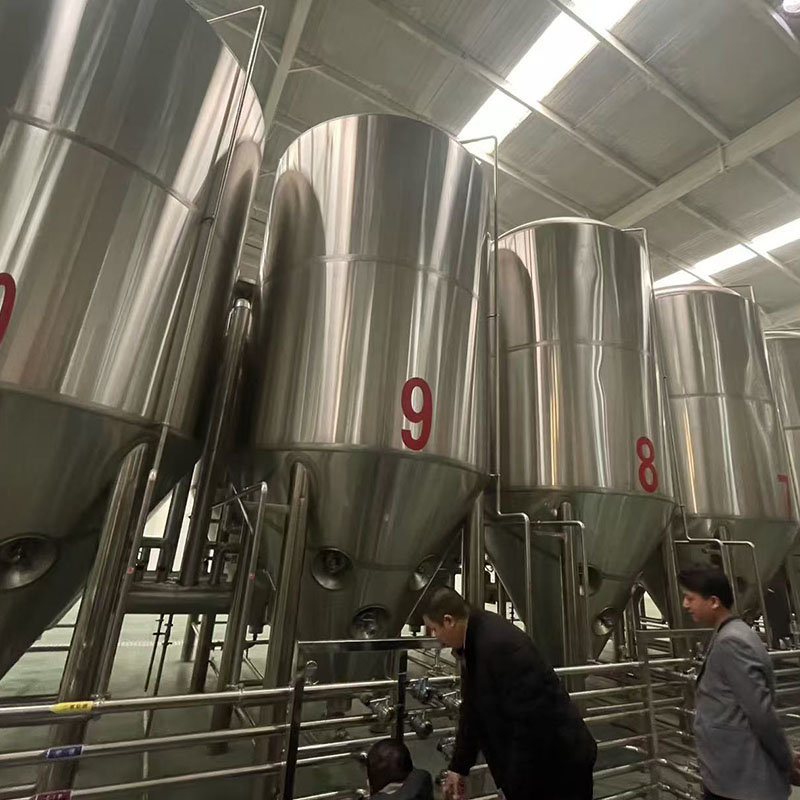 轵城镇精酿啤酒设备